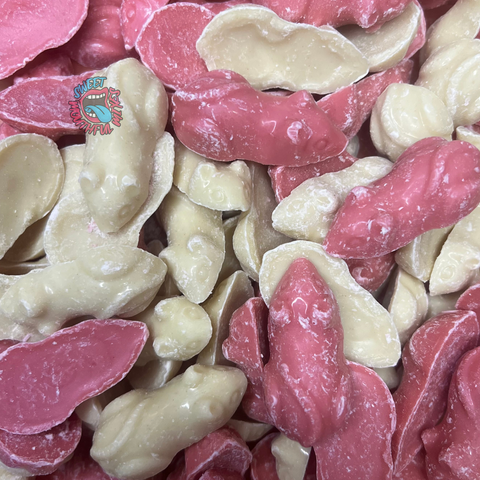 Pink & White Mice