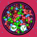 Just Wild Berry Skittles