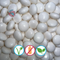 Just Mentos Mint Chews