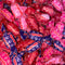 Fruittella Berry & Cherry 10 Pieces - Freeze Dried Sweets - Vegan
