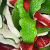 Just Giant Gummy Crocodiles