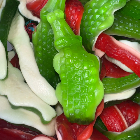 Giant Gummy Crocodiles