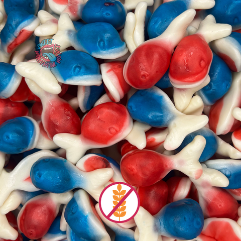 Jelly Filled Whales