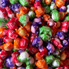 Starblasts Original 50g - Freeze Dried Sweets - Vegan, Vegetarian & Halal