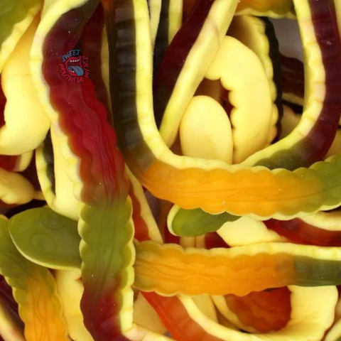 Just Yellow Bellies