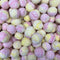 Rhubarb & Custard Bon Bons 50g - Freeze Dried Sweets | Gluten-Free