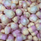 Fruit Salad Softies 50g - Freeze Dried Sweets