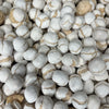 Bon Bons Toffee 50g - Freeze Dried Sweets - Vegetarian & Halal