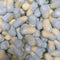 Squashies Minions (Banana & Bluberry) x7 - Freeze Dried Sweets