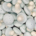 Bubblegum Mushrooms x7 - Freeze Dried Sweets